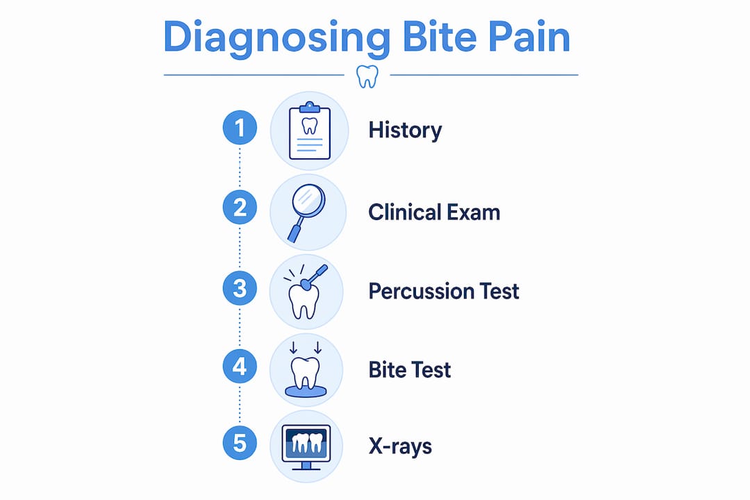Infographic showing diagnosis steps for tooth bite pain