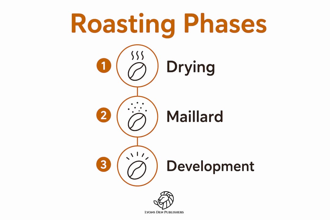 Infographic illustrating three phases of coffee roasting