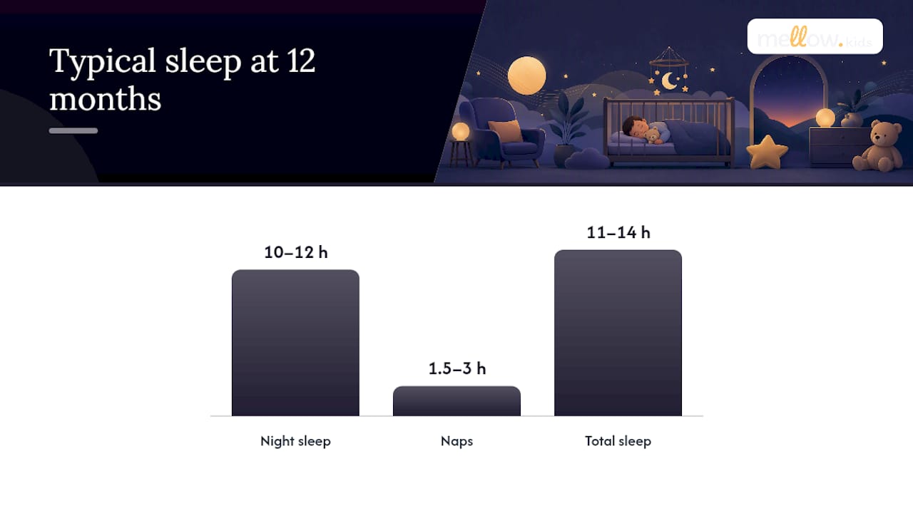 Diagram of 12-24 month old sleep needs night and nap hours