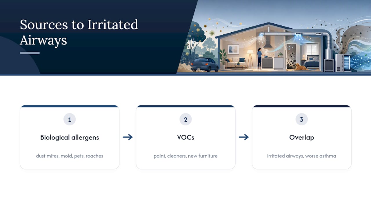Indoor allergens and pollutants affecting airways
