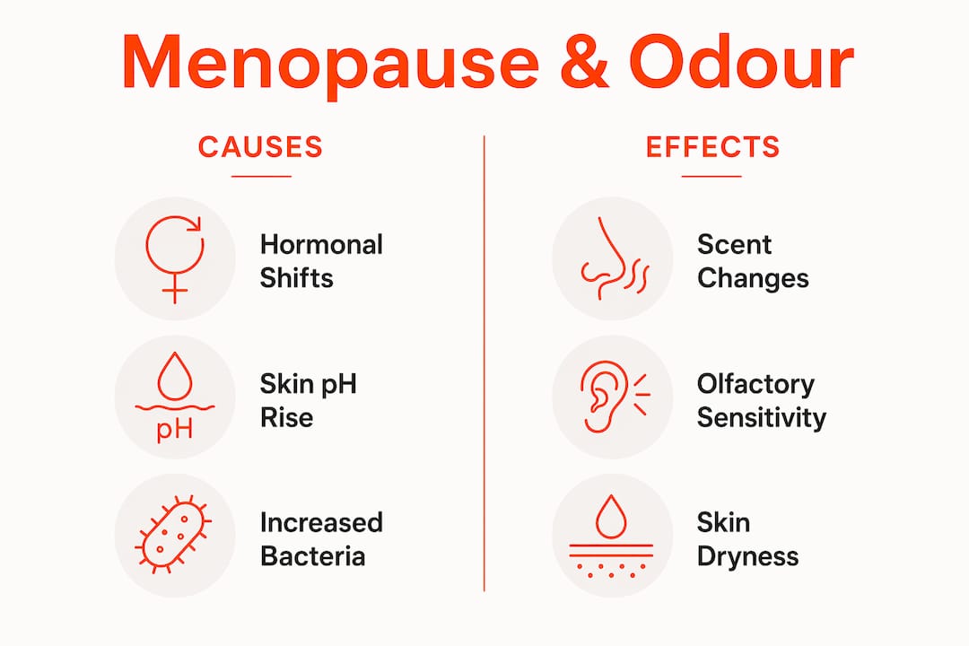 Infographic illustrating causes and effects of menopause body odour