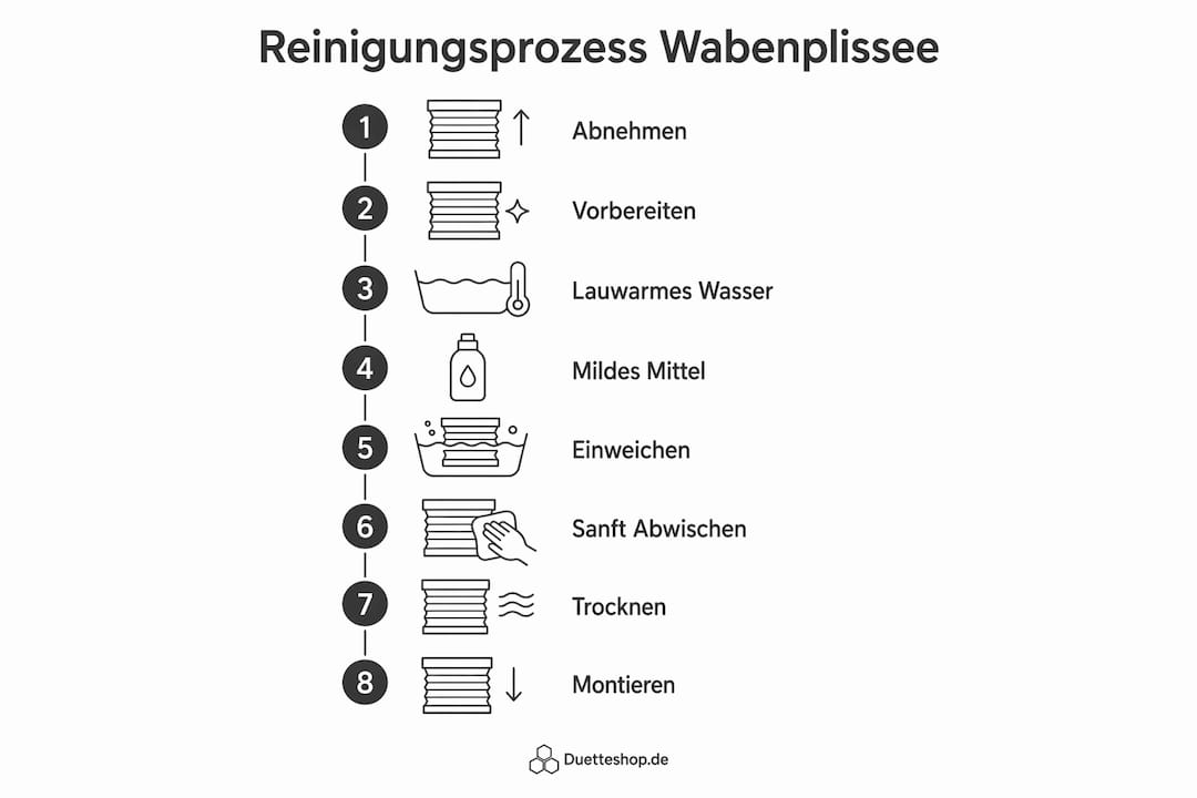 Schritt-für-Schritt-Anleitung: So reinigen Sie Ihr Wabenplissee richtig – als anschauliche Infografik