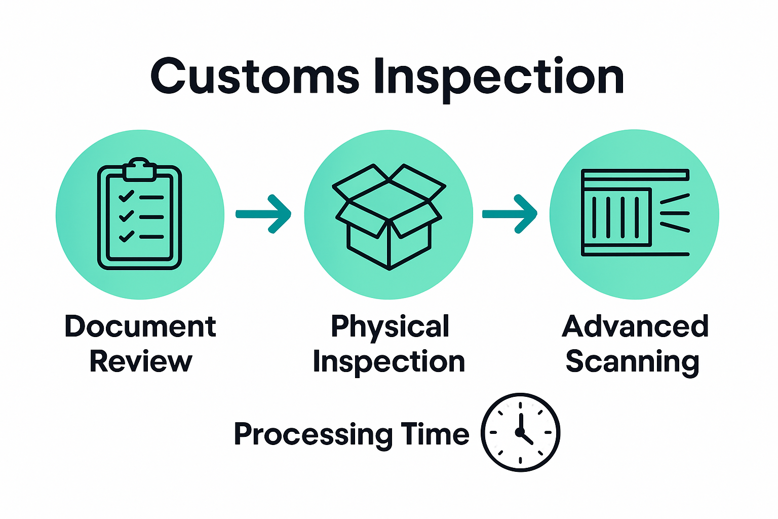 Infographic showing customs inspection steps
