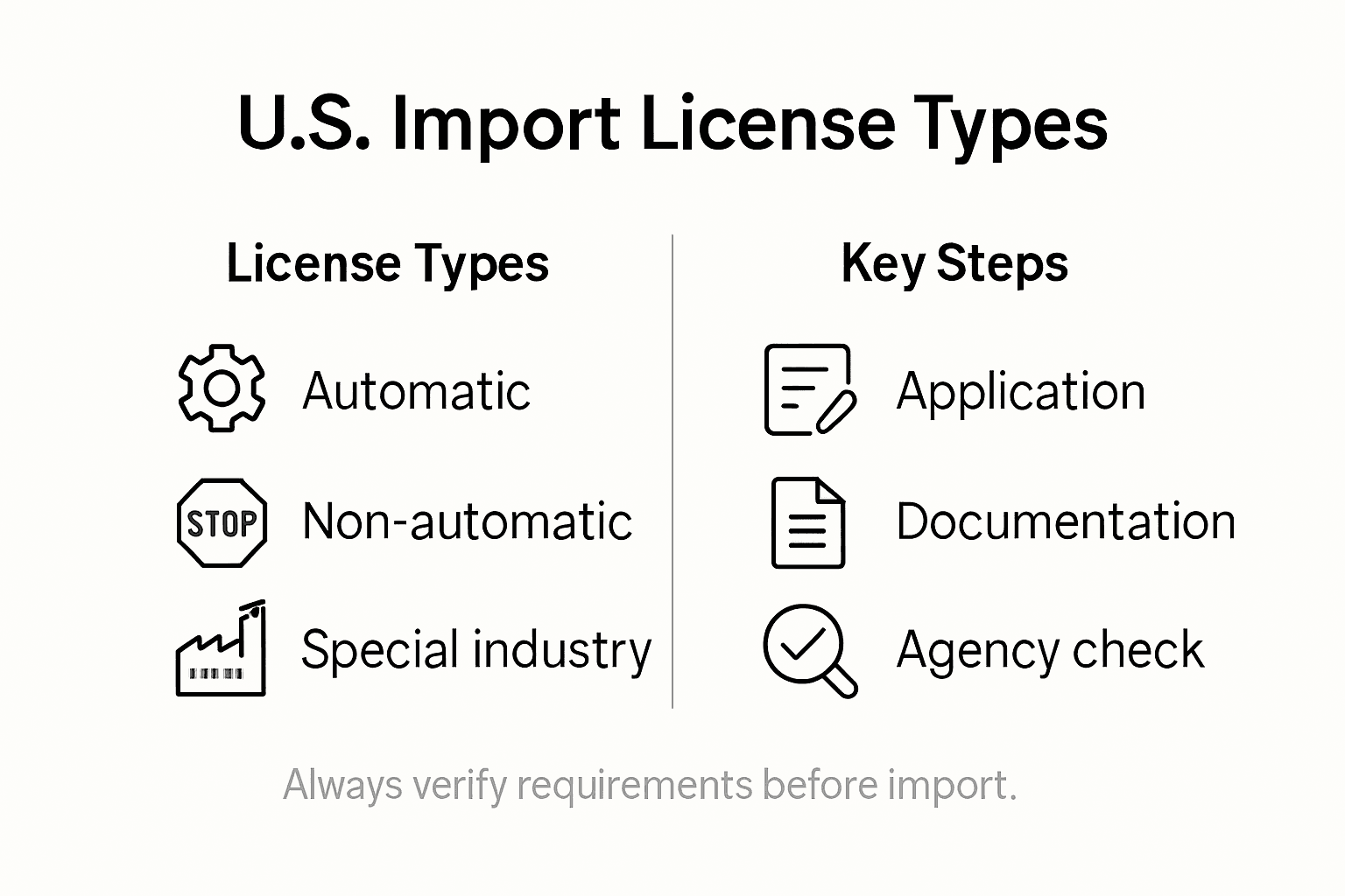 Infographic showing main types of import licenses