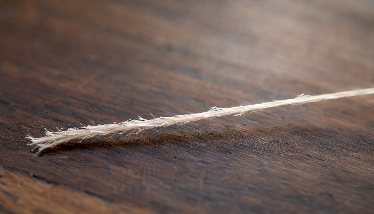 Close-up of damaged bleached hair strand