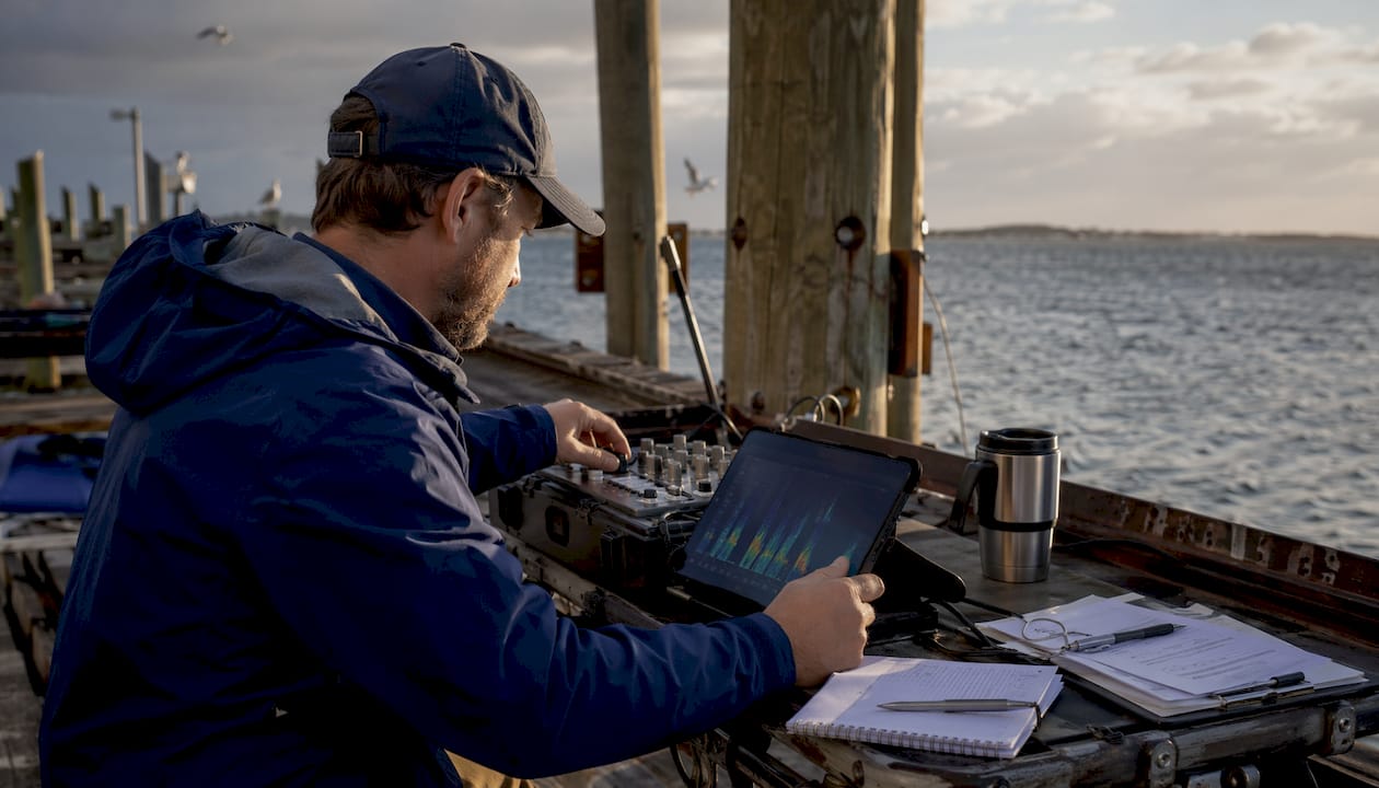 Researcher analyzing dolphin whistle spectrogram data