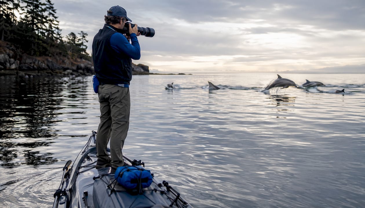 Photographer capturing dolphins swimming near boat in morning