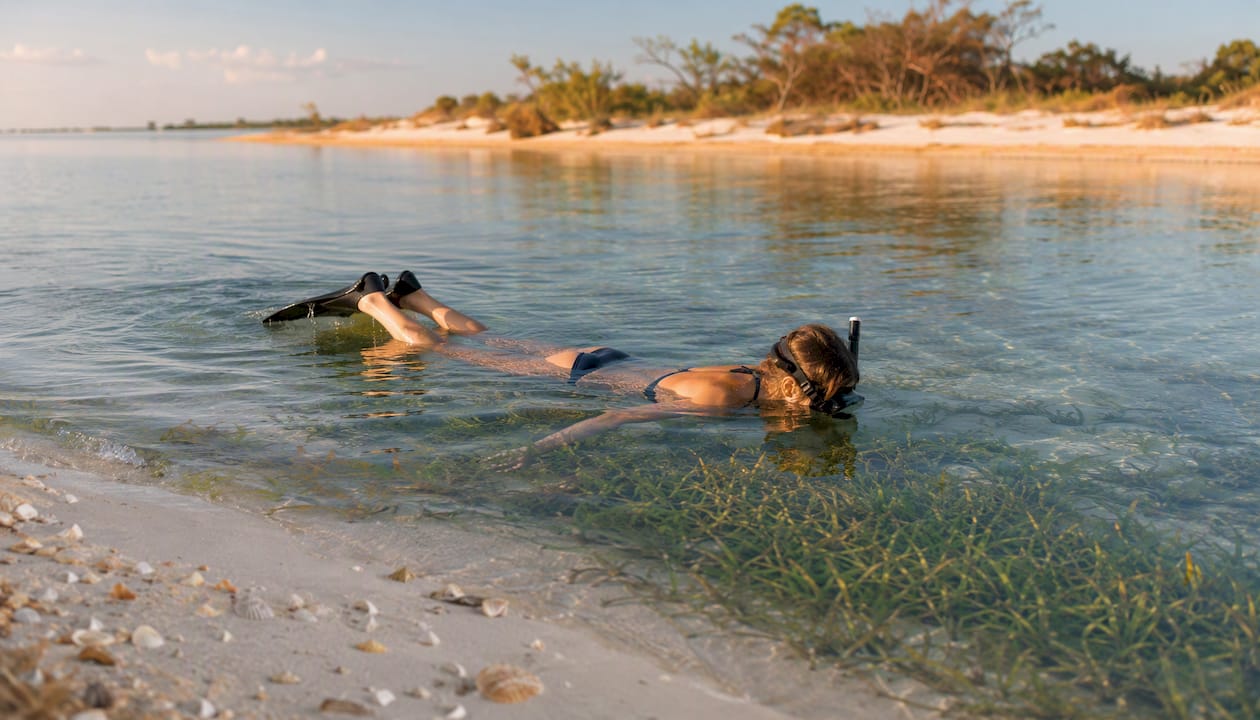 Woman snorkeling in clear Shell Island waters