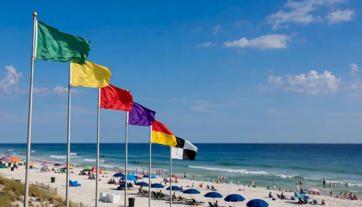 Colorful Florida beach safety flags fluttering