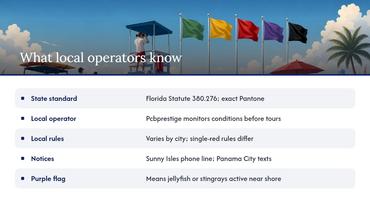 What local operators know about reading beach flags — overview diagram