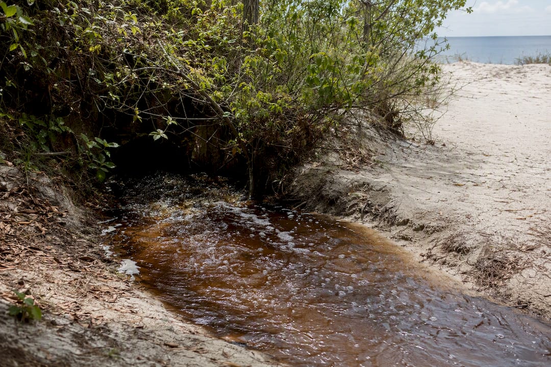 Spring-fed lake water discharging near sand dunes