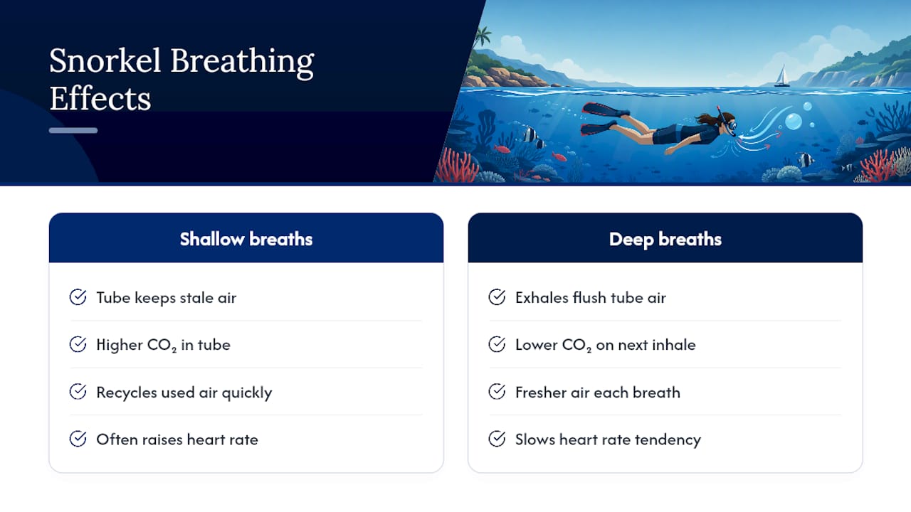 Diagram of snorkel dead space and breathing effects