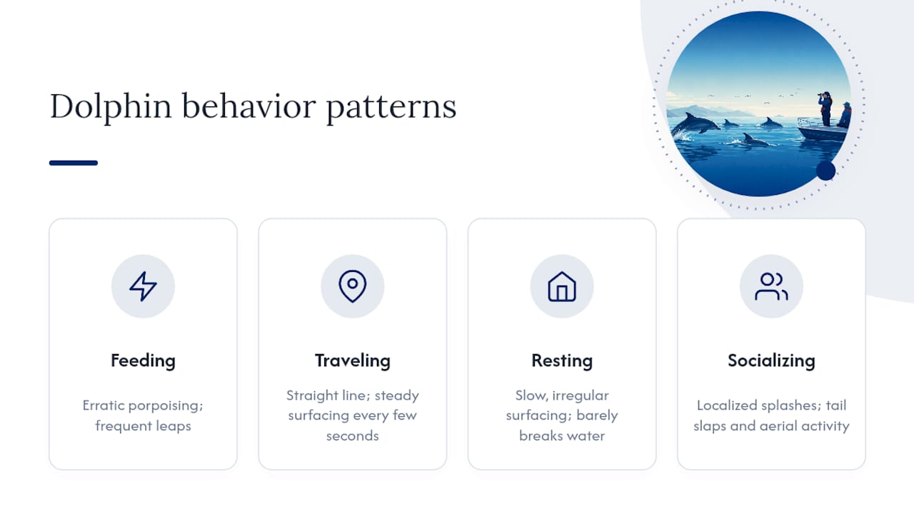 Diagram of dolphin surfacing behavior patterns