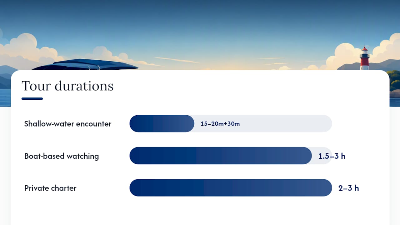Comparison of dolphin tour durations