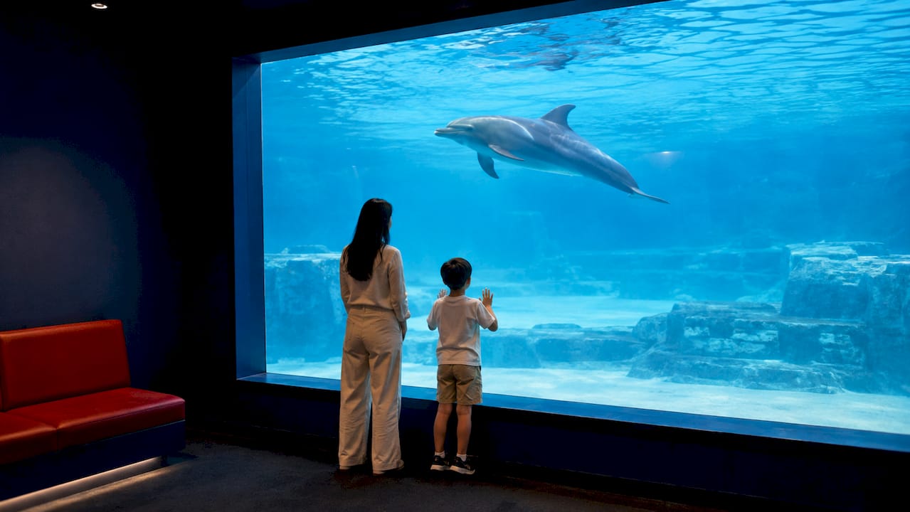 Family viewing dolphin through aquarium glass
