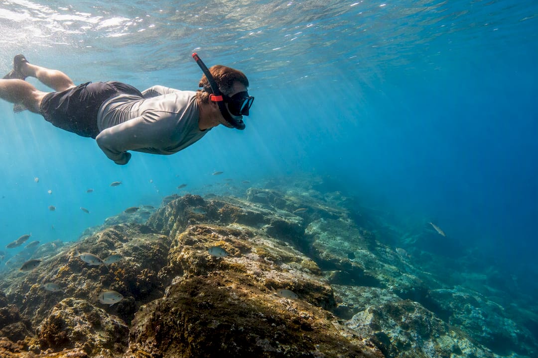 Snorkeler exploring St Andrews Jetties reef