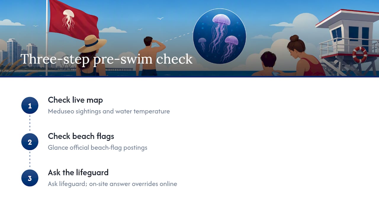 Three-step jellyfish safety check before swimming