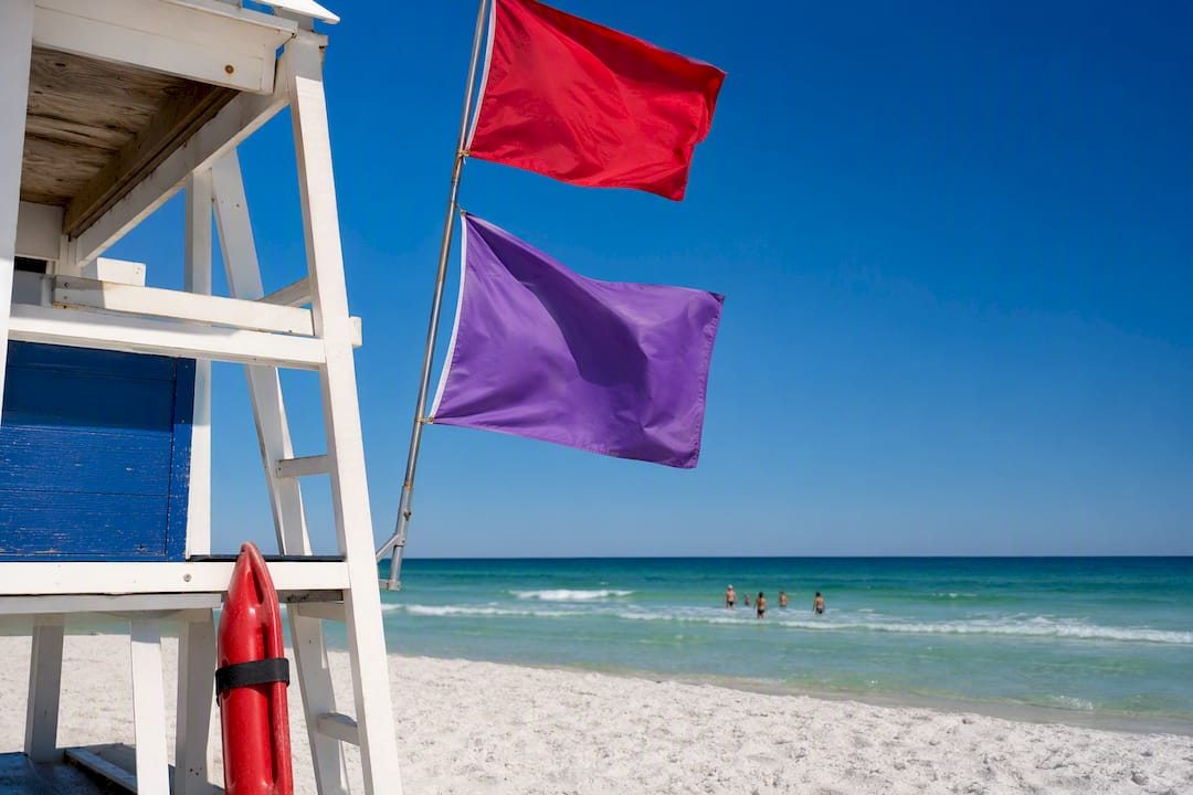 Purple marine life warning flag over beach