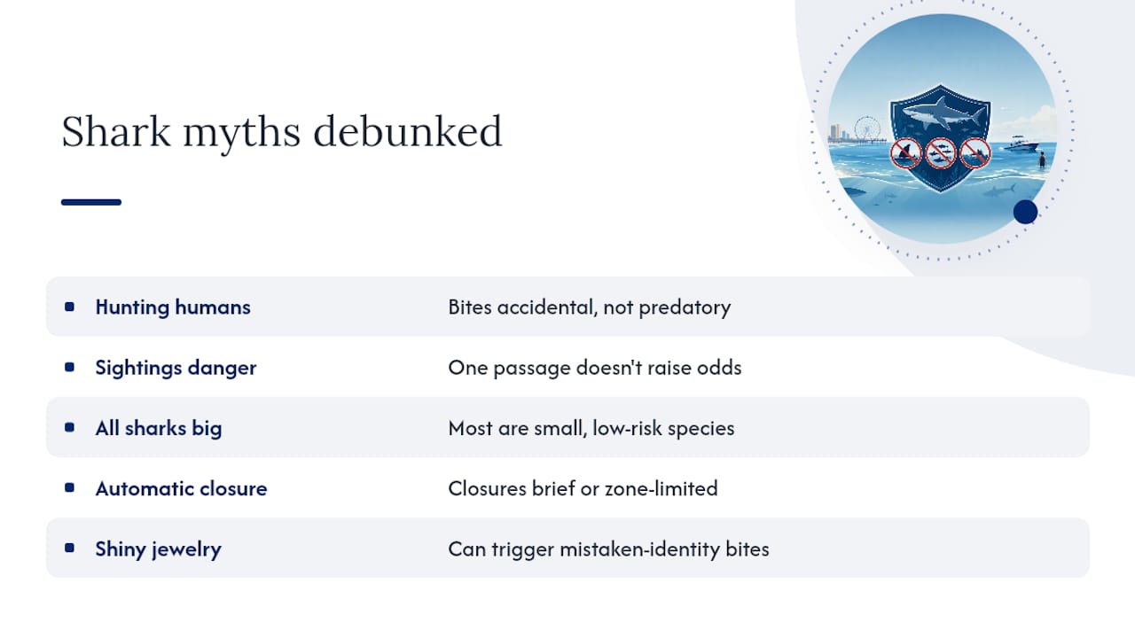 Shark Myths That Don't Hold Up At Panama City Beach — overview diagram