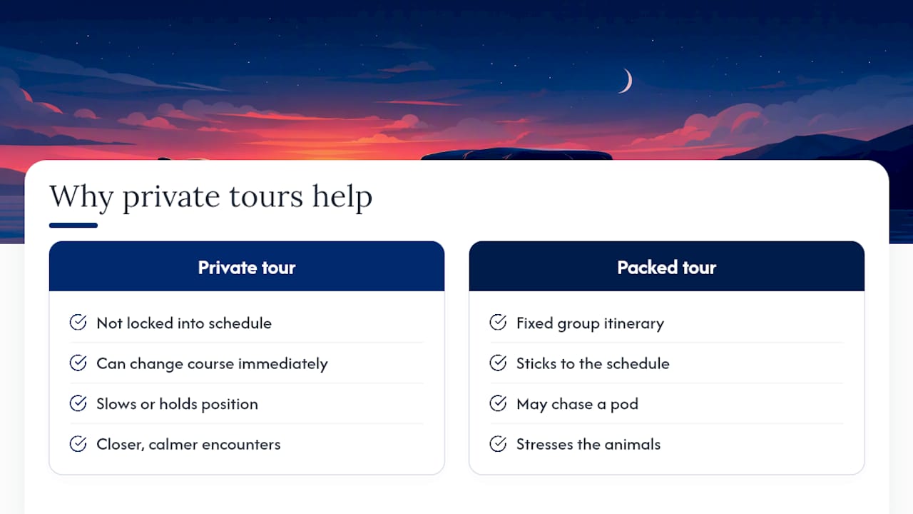 Why Private Sunset Tours Change the Odds — overview diagram