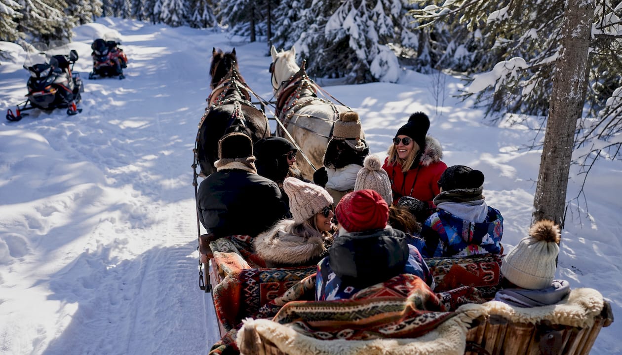 Tourists on horse sleigh ride in snowy forest