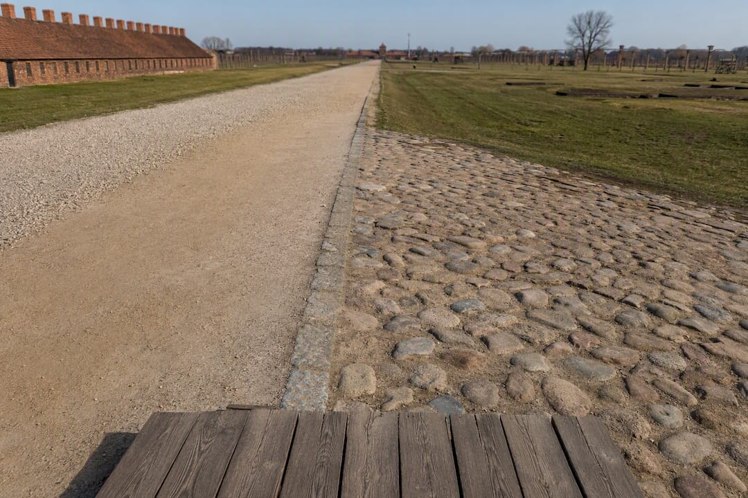 Mixed terrain across Auschwitz historic grounds