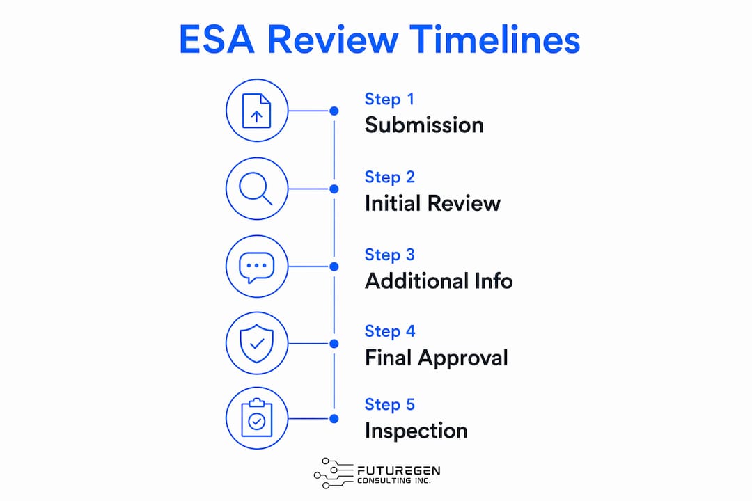 Infographic illustrating typical ESA review timeline steps