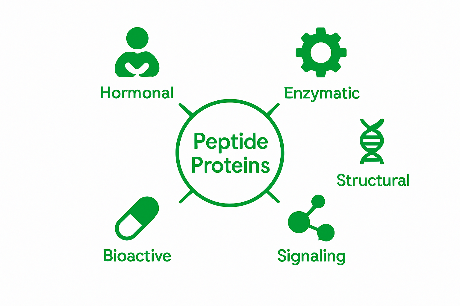 Infographic showing five peptide protein categories with simple icons