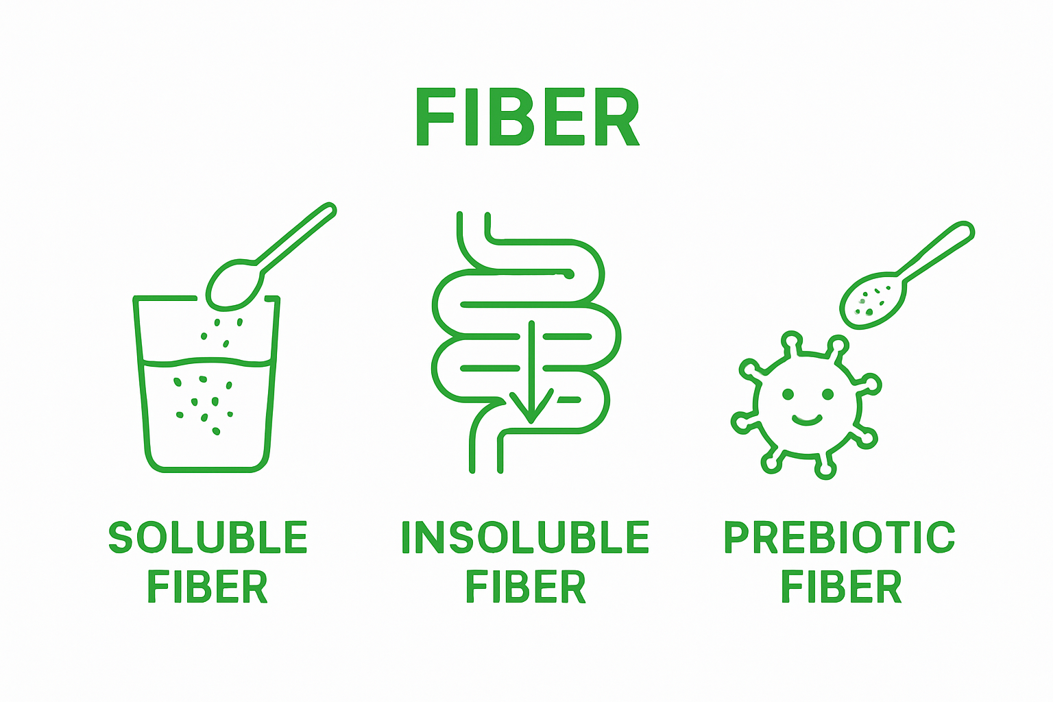 Infographic contrasting soluble, insoluble, and prebiotic fiber supplements