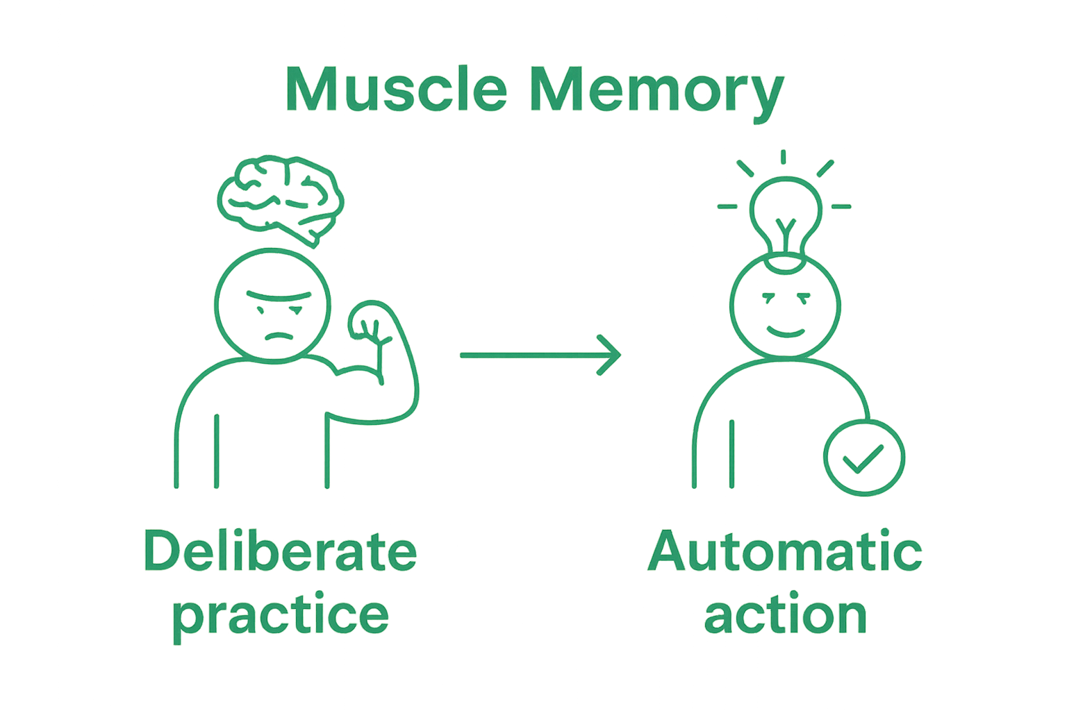 Beginner versus expert muscle memory visual comparison