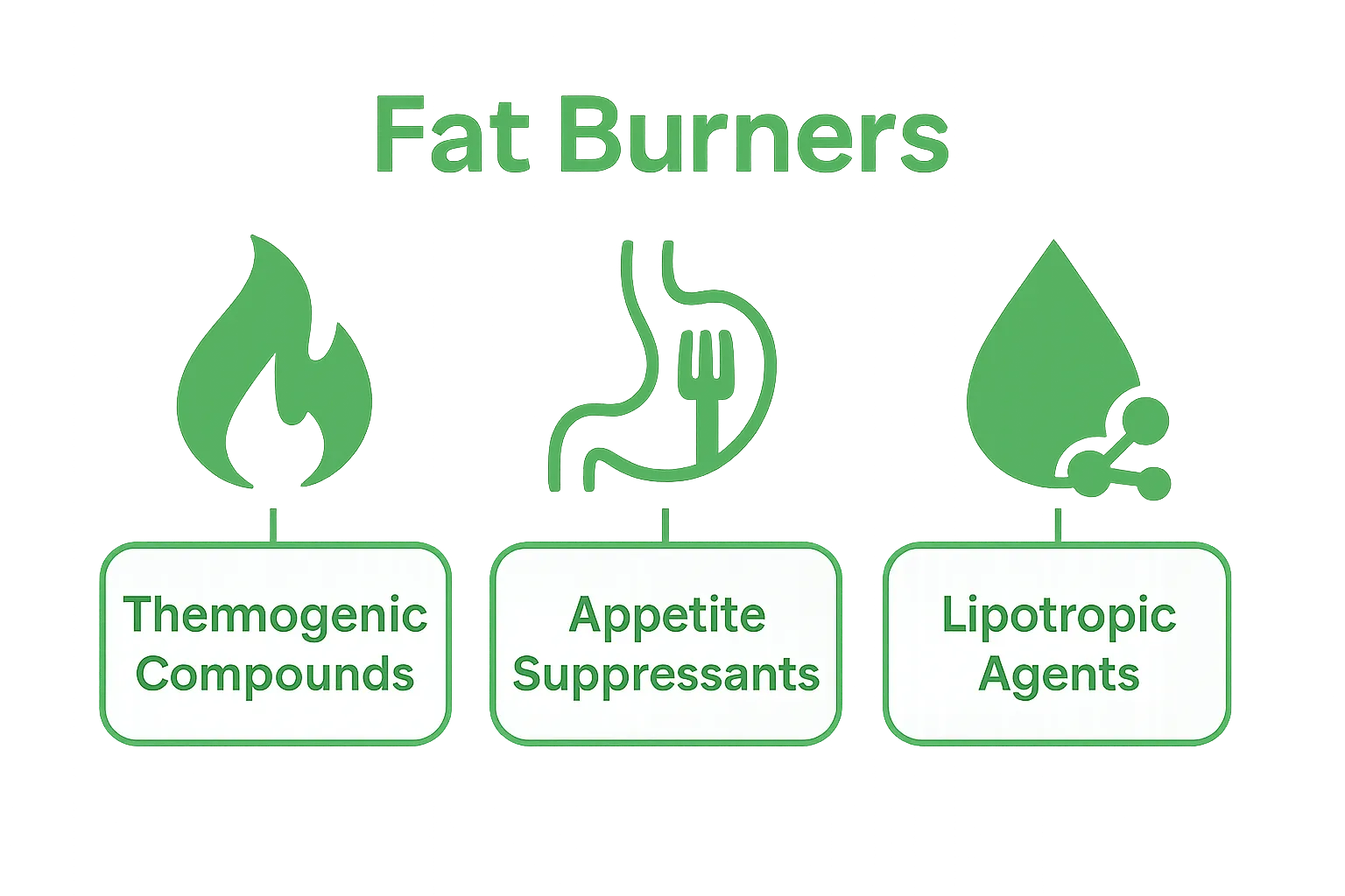 Infographic showing three types of fat burner ingredients: thermogenic compounds, appetite suppressants, lipotropic agents.