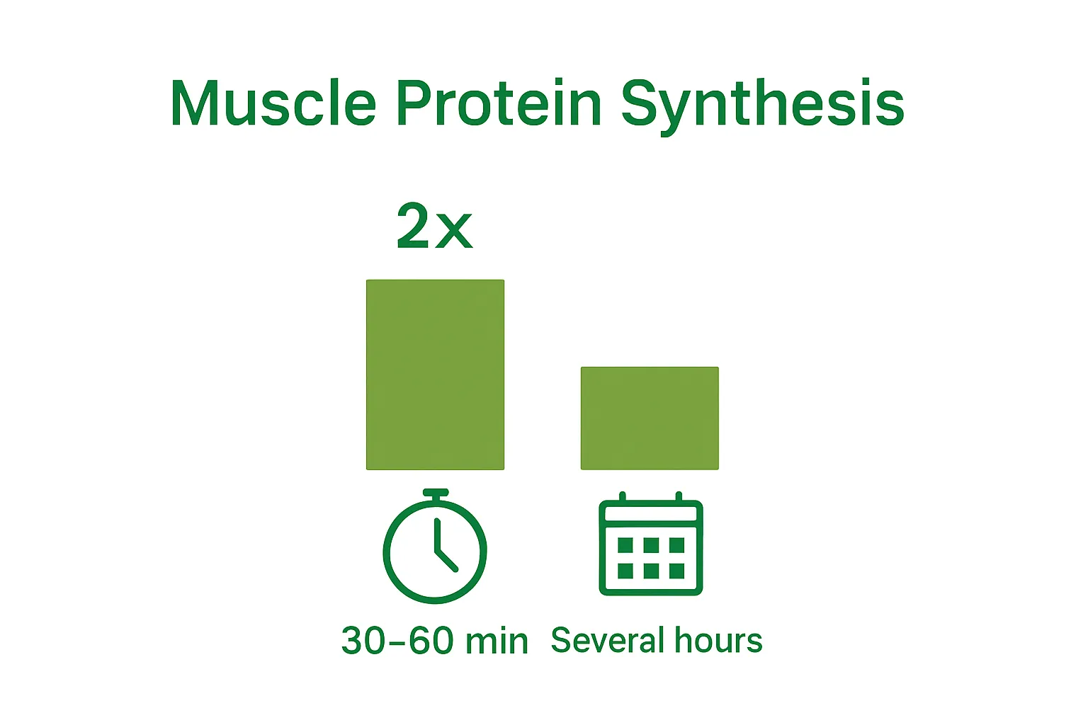 Bar chart comparing muscle protein synthesis rates post-workout versus later hours