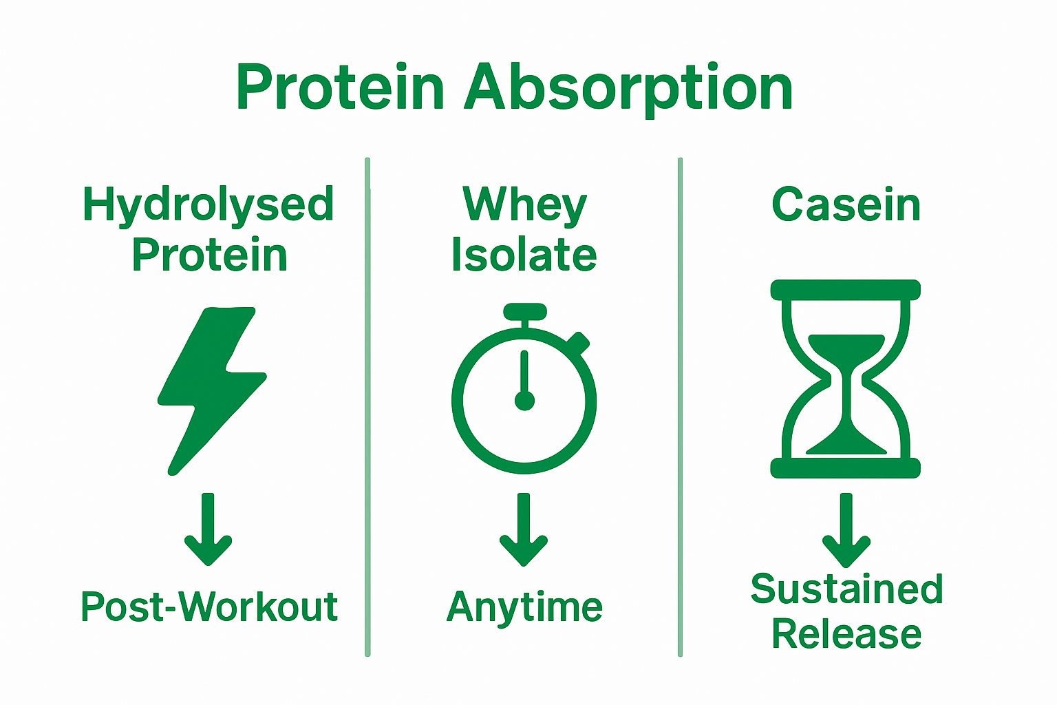 Infographic comparing absorption speeds of hydrolysed protein, whey isolate, and casein.