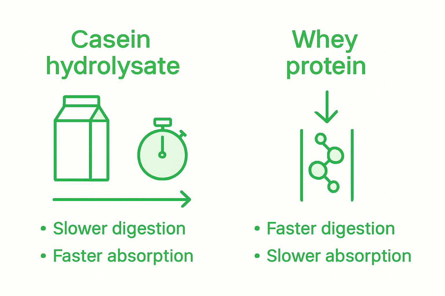Infographic contrasting casein and whey protein digestion