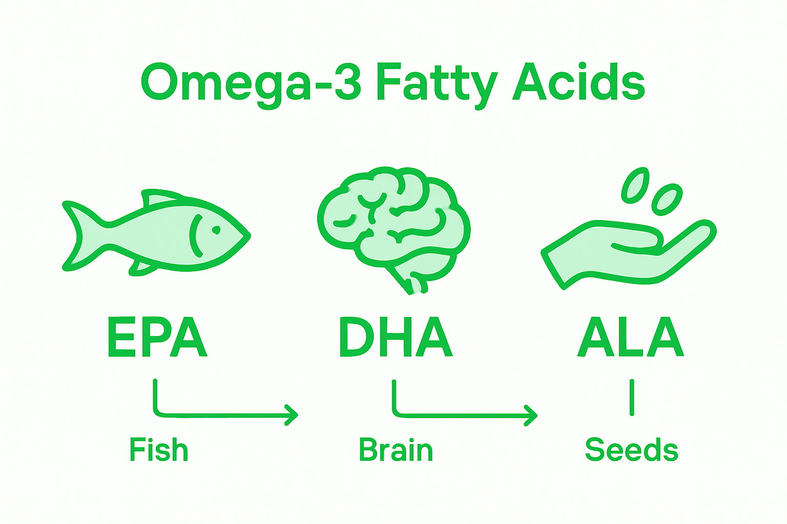 Infographic comparing omega-3 EPA, DHA, ALA