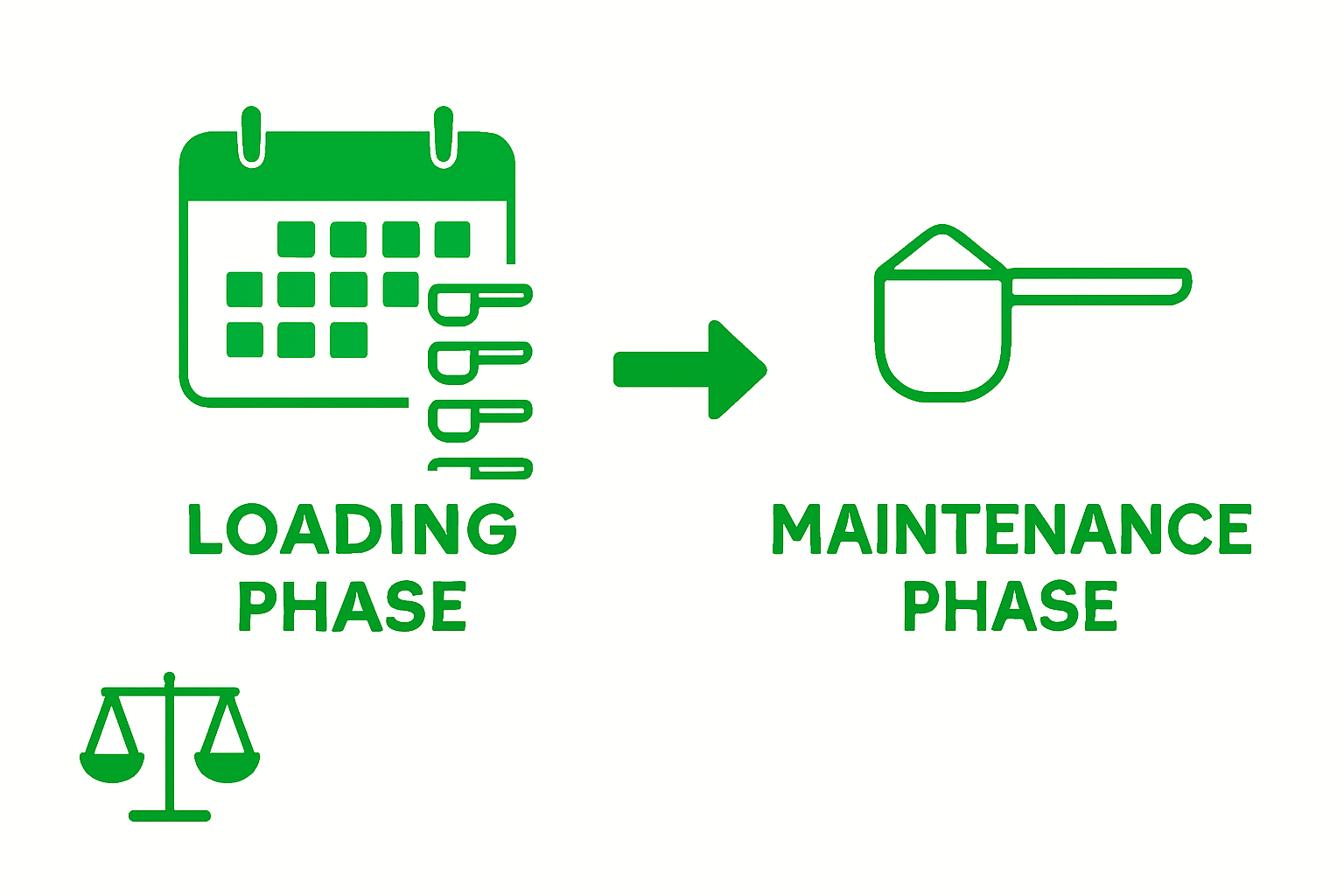 Creatine loading vs maintenance dosage infographic