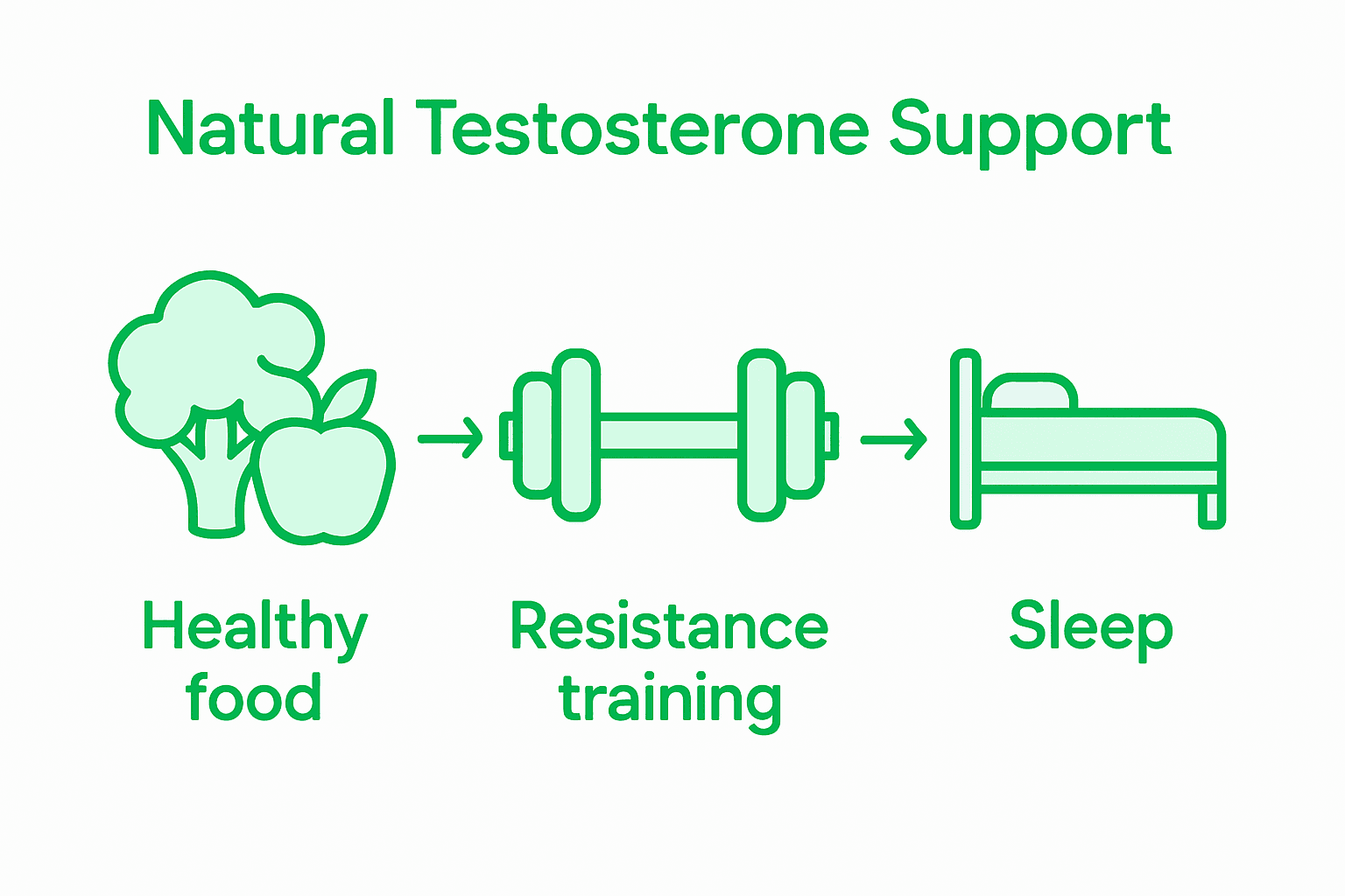 Infographic process for natural testosterone support