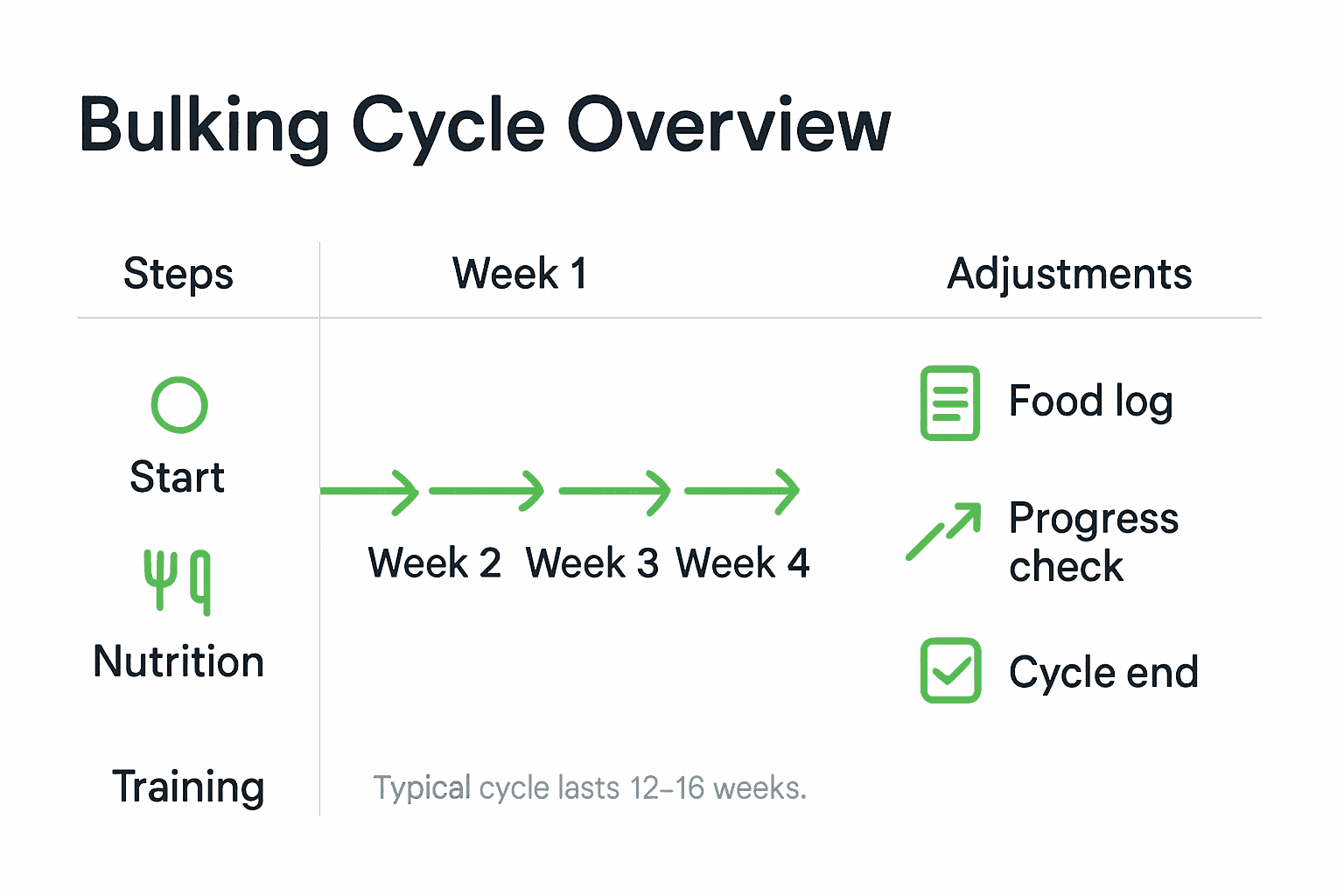 Infographic showing bulking cycle steps and adjustments