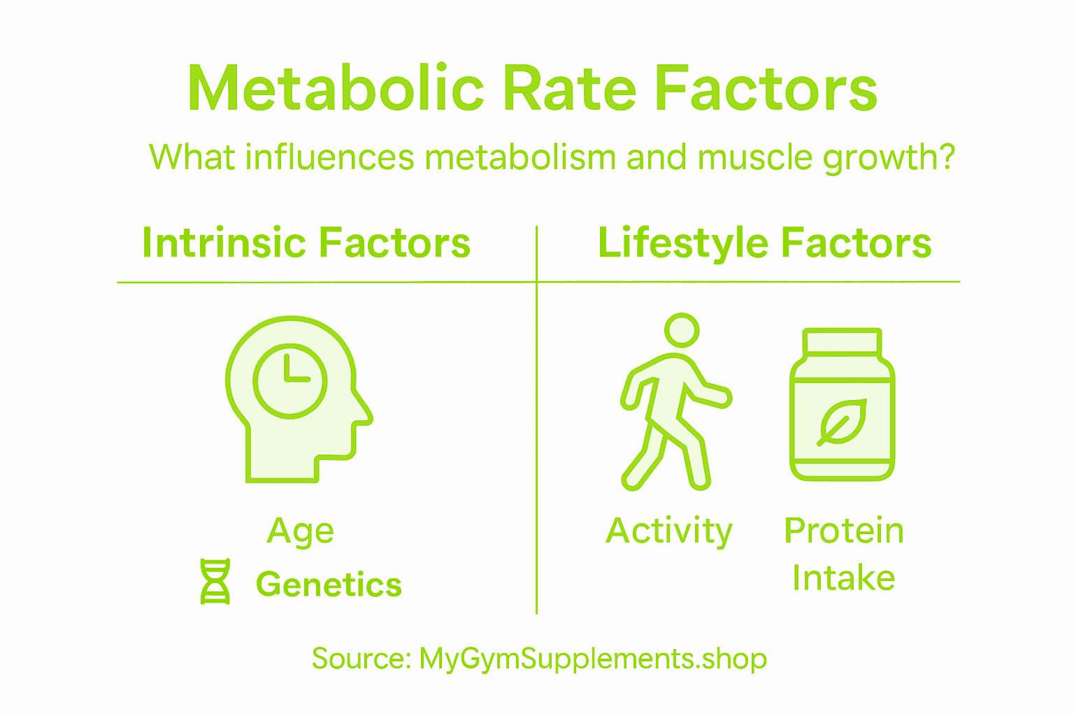 Infographic summarizing metabolic rate factors