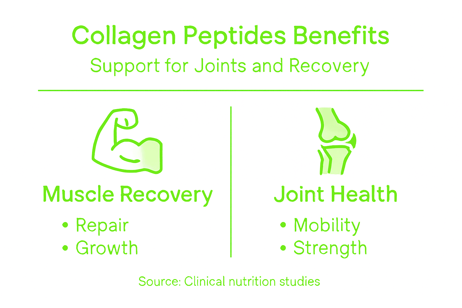 Infographic collagen peptides for joints and muscles