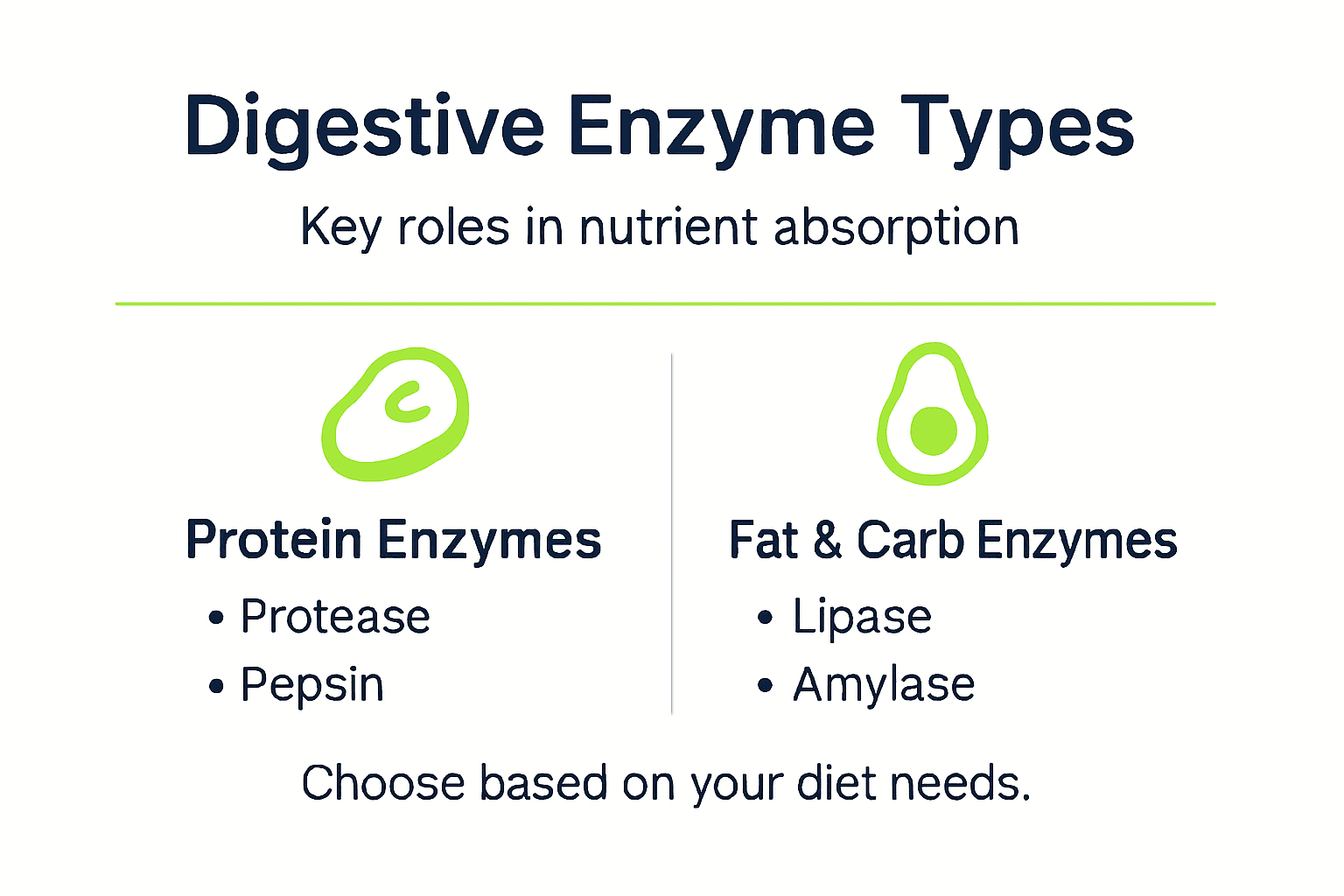 Infographic comparing digestive enzyme types and uses