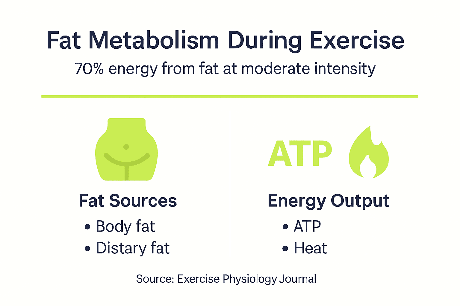 Infographic summarizing fat metabolism during exercise