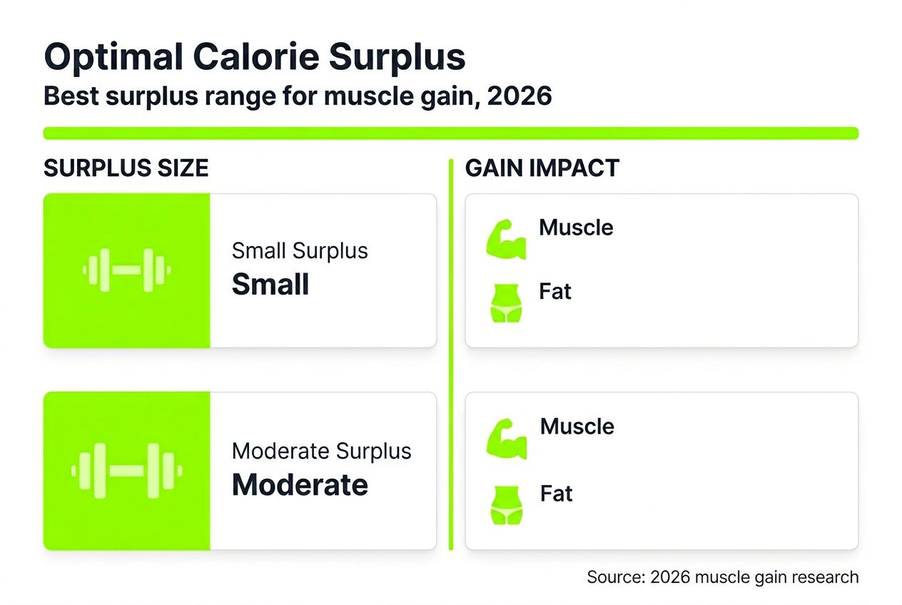 Infographic showing optimal calorie surplus for muscle