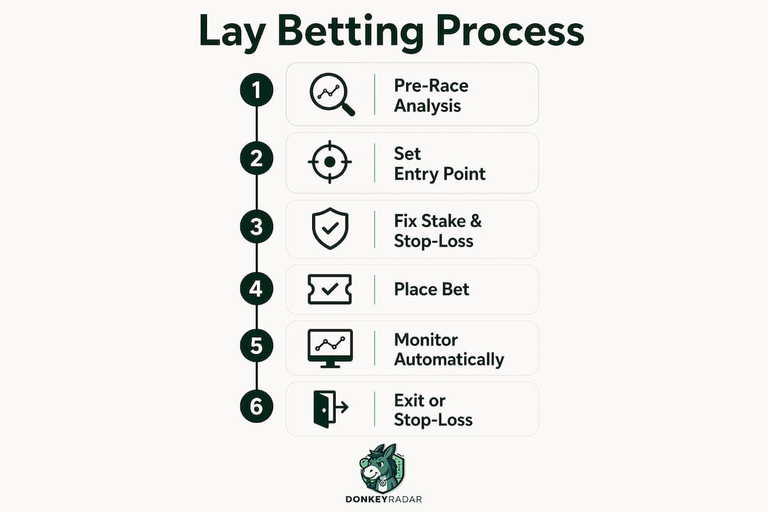 Infographic illustrating lay betting process steps