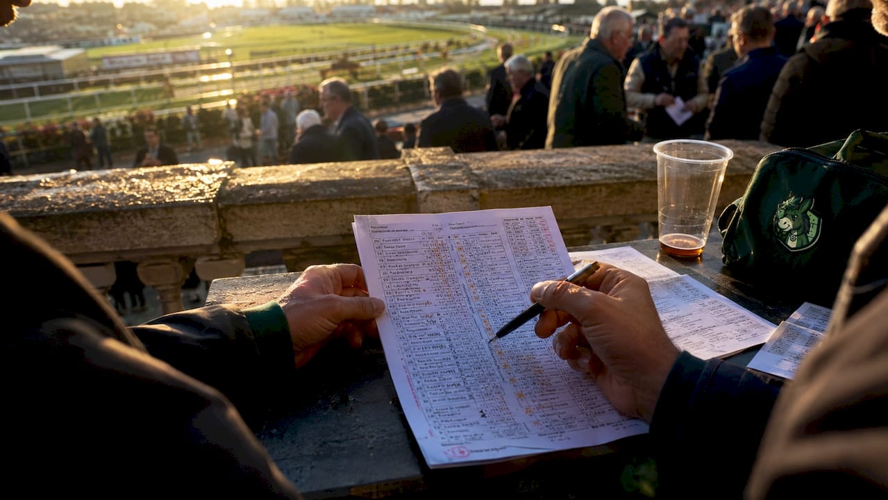 Hands adjusting horse race odds at racecourse
