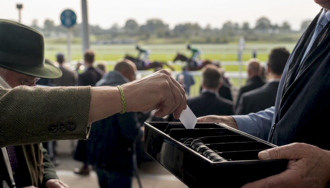 False favourites horse racing: spot and lay them
