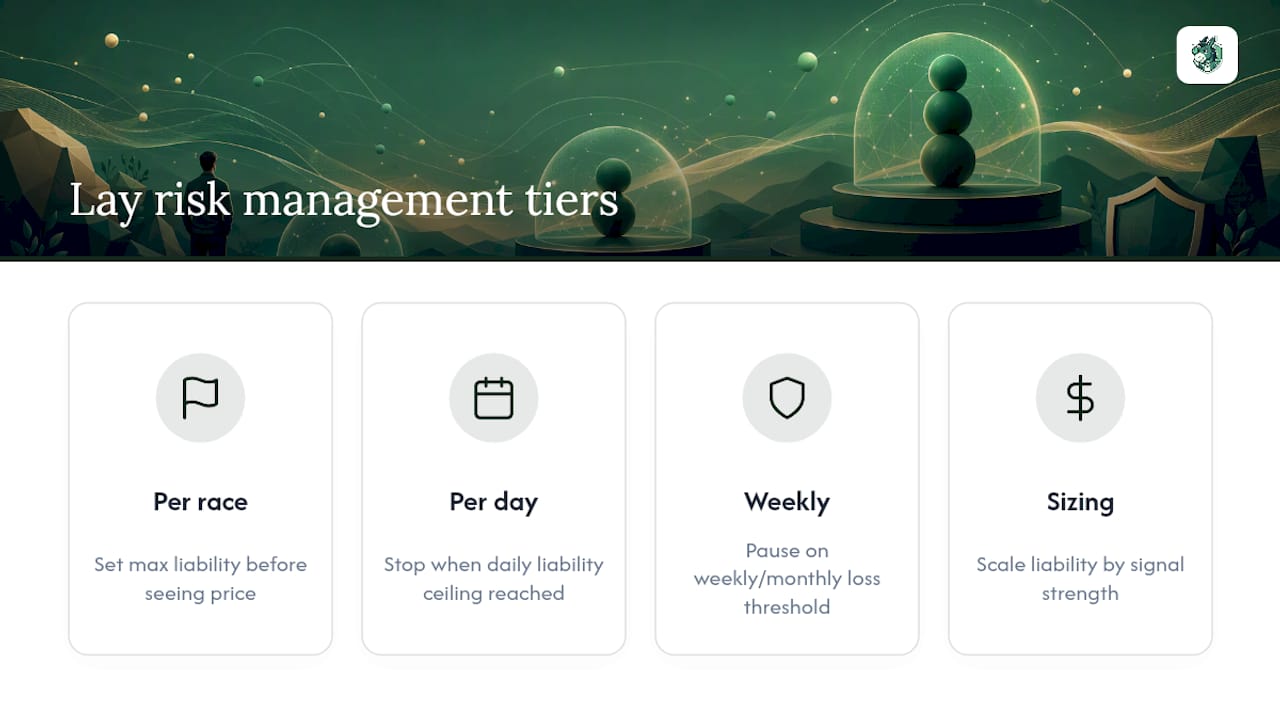 Three-tiered risk management diagram