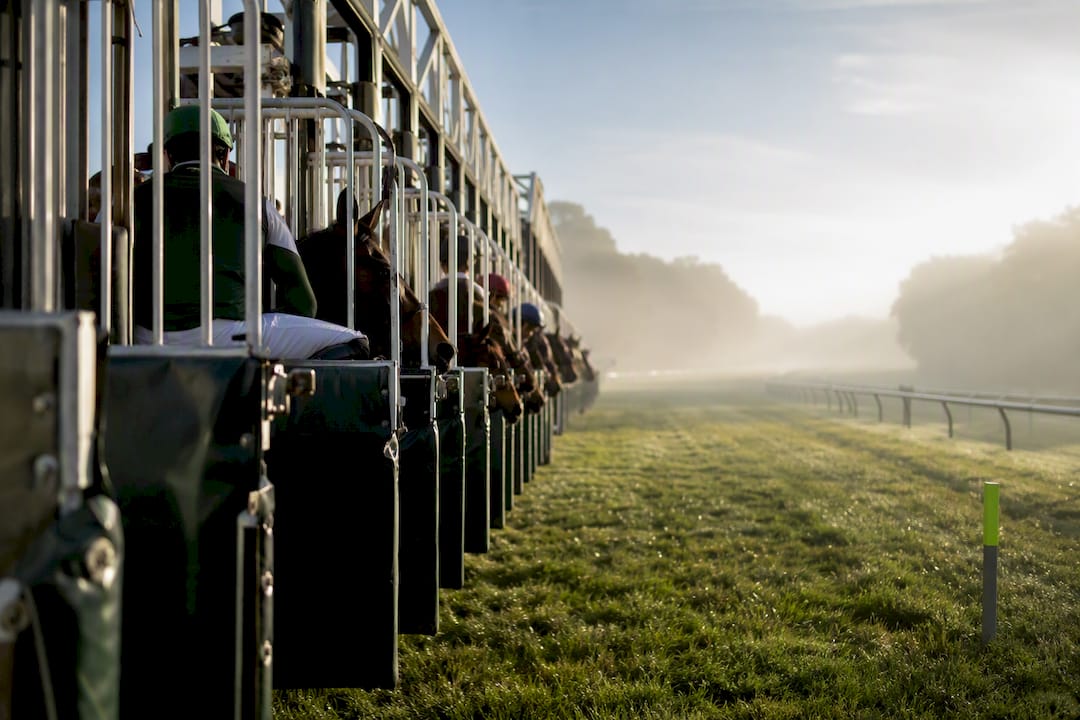5 Defence First Questions for Race Selection When Laying Horses