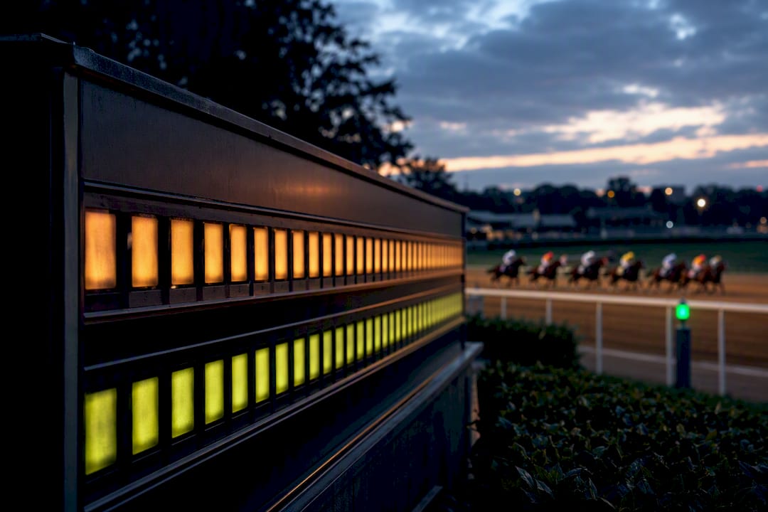 3 Rules to Turn Morning Line vs Live Odds Gaps into Lay Signals