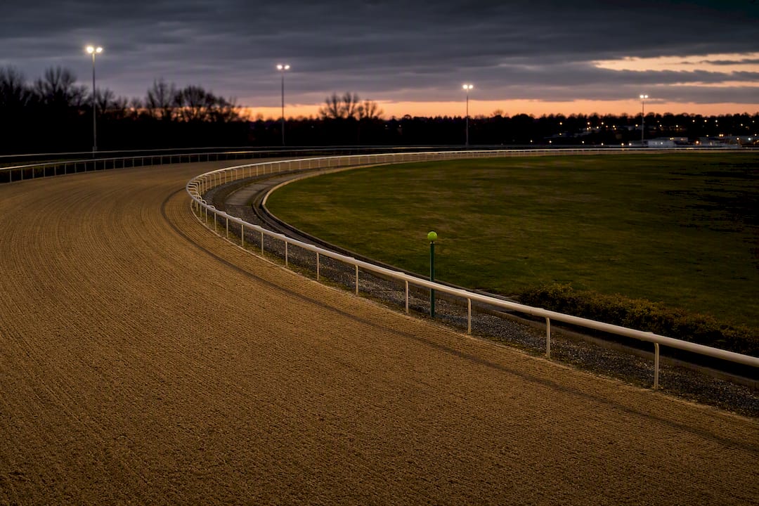Liability First All Weather Lay Strategy Using DonkeyRadar Signals